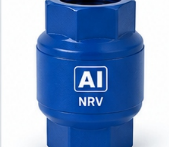 Non Return Valve